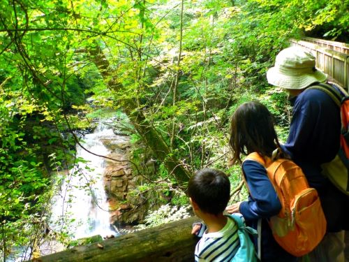 8月10日は山の日!登山だけじゃない、親子で山を楽しむ方法と ...